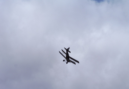 P1020621