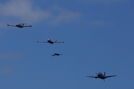 284662491 10227453531744607 3778885573647217277 n