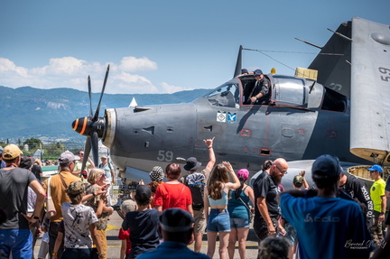 292373980 2270524176447779 328225453306006977 n