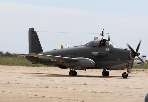 6A3A9490(1)