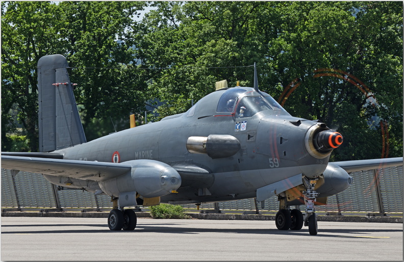 D85_2565.jpg